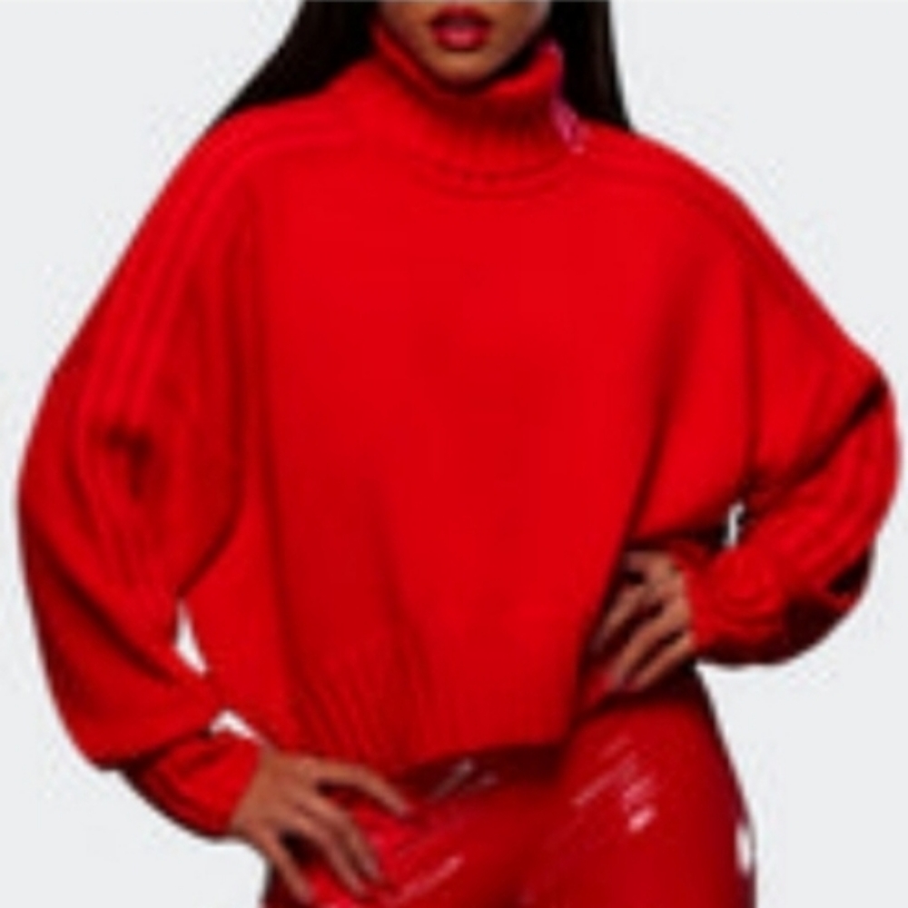 NWT Adidas x Ivy Park Ivy Heart Knit Turtleneck sweater